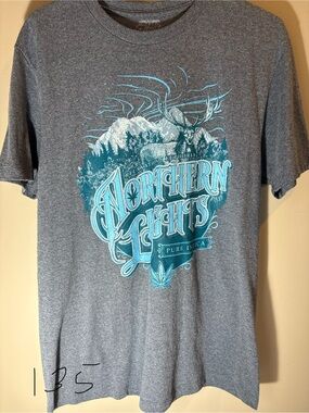 Northern Lights Graphic Tee - Heather Gray with Teal Print 420 friendly